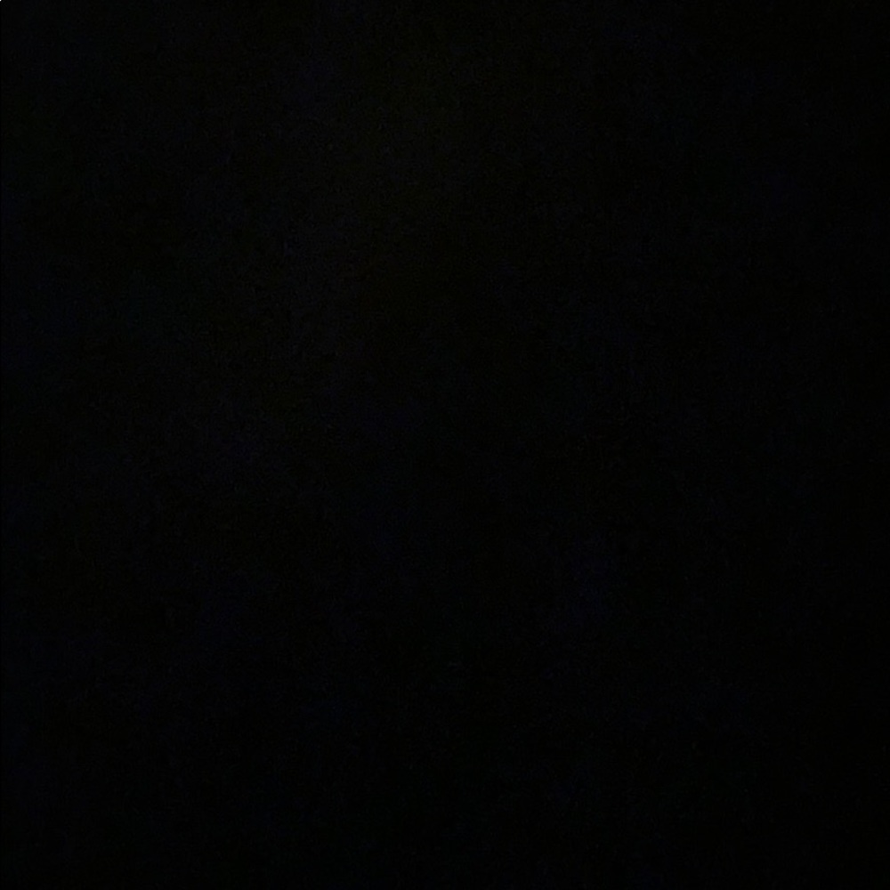 Meet your Posher, Izzy